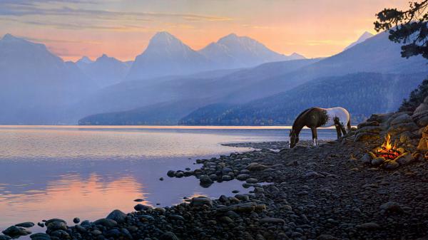 Free horse on pebbles near lake during sunset hd animals wallpaper download