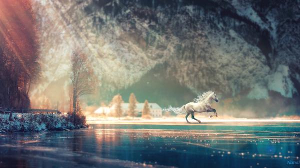 Free horse running fantasy hd wallpaper download