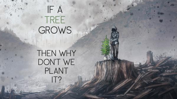 Free if a tree grows then why do not we plant it hd inspirational wallpaper download