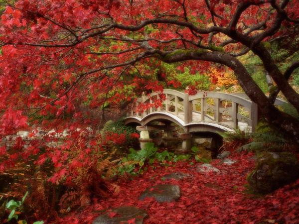 Free japanese garden british columbia wallpaper download