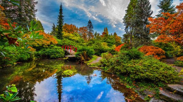 Free japanese garden with reflection on pond seattle 4k 5k hd travel wallpaper download