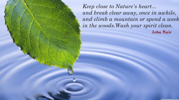 Free keep close to natures heart hd inspirational wallpaper download