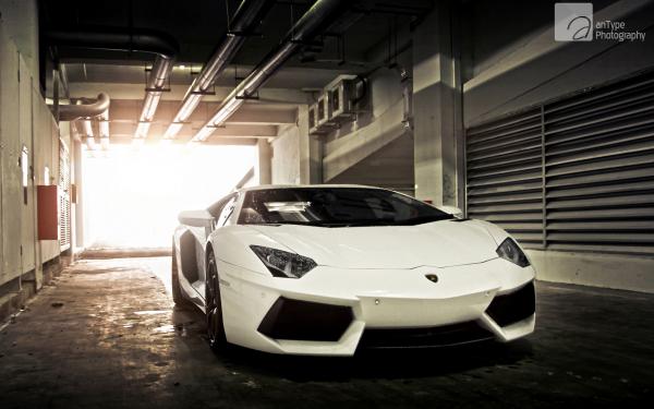 Free lamborghini aventador latest wallpaper download