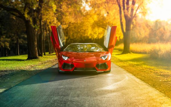 Free lamborghini aventador roadster wallpaper download