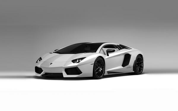 Free lamborghini aventador white wallpaper download