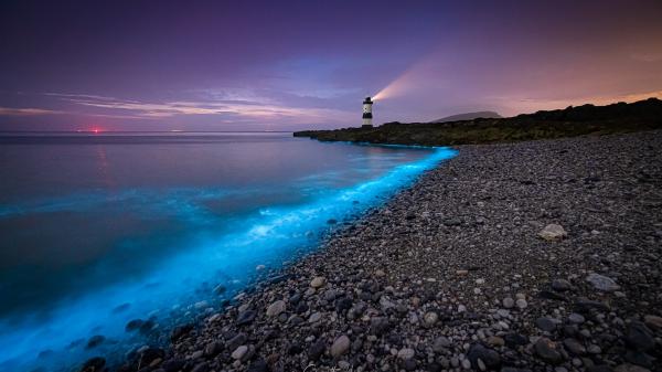 Free lighthouse in seaside during evening time hd travel wallpaper download