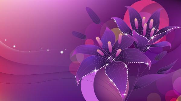 Free lights purple flowers hd abstract wallpaper download