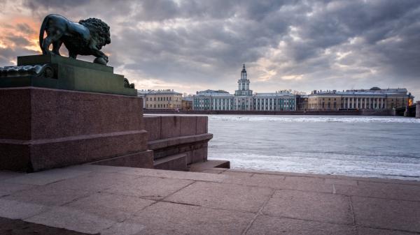 Free lion sculpture river building russia saint petersburg hd travel wallpaper download