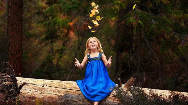 Free little cute girl is sitting on tree trunk wearing blue dress looking up hd cute wallpaper download