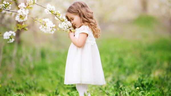 Free little cute girl is smelling flowers and wearing white frock hd cute wallpaper download