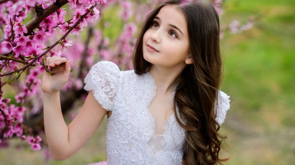 Free little cute girl is standing near pink blossom tree wearing white dress hd cute wallpaper download