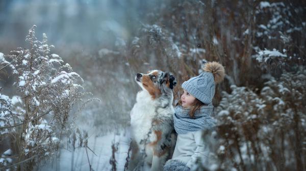 Free little cute girl with australian shepherd in snow field wearing white dress and ash woolen knitted cap hd cute wallpaper download