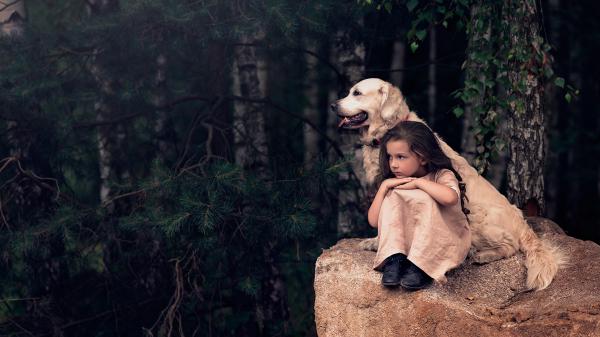 Free little girl is sitting with labrador retriever on rock hd cute wallpaper download