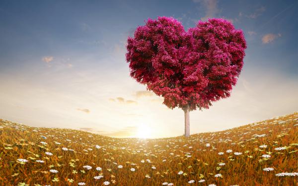 Free love heart tree fields wallpaper download