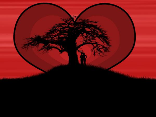 Free lovers at love tree wallpaper download