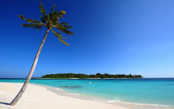 free maldivian beach wallpaper download