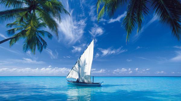 free man inside boat on body of water with reflection during daytime hd beach wallpaper download