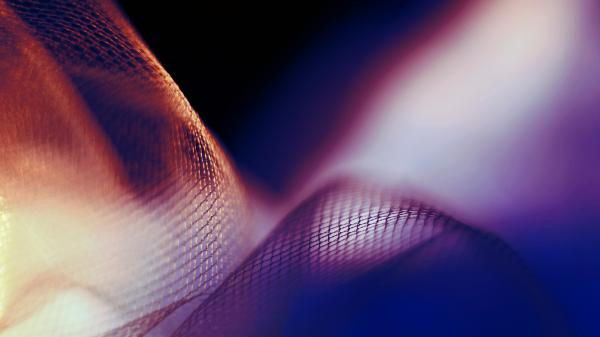 Free mesh macro 5k wallpaper download