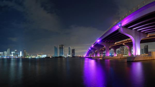 Free miami city wallpaper download