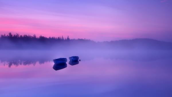 Free misty morning 5k wallpaper download