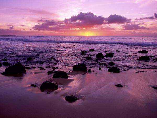 free molokai shore hawaii wallpaper download