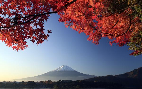 Free mount fuji autumn maple japan wallpaper download