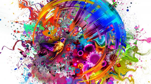 Free multicolors flashy bird 4k hd abstract wallpaper download