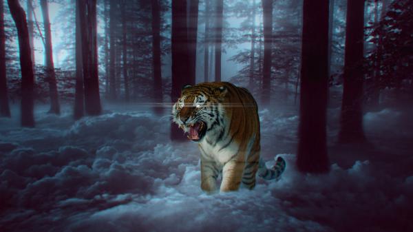 Free mystic tiger in forest 4k 8k wallpaper download