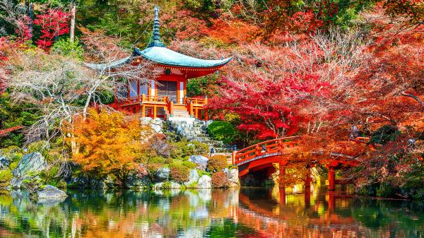 Free nature park with lake bridge daigo ji japan kyoto 4k hd travel wallpaper download