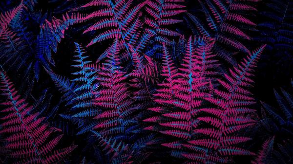 Free neon plants wallpaper download