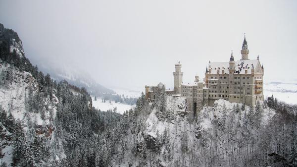 Free neuschwanstein castle fir tree with fog in germany hd travel wallpaper download