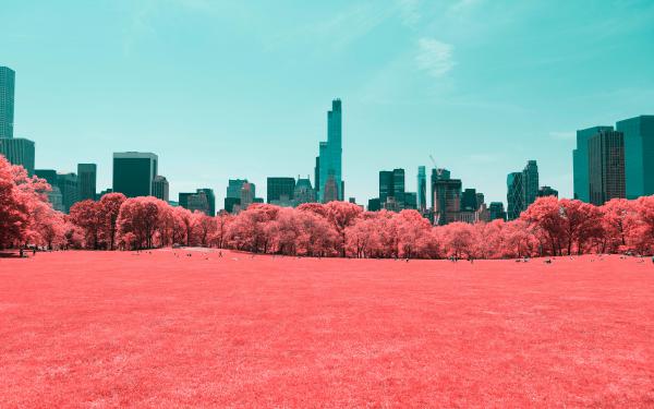 Free nyc central park infrared 4k wallpaper download