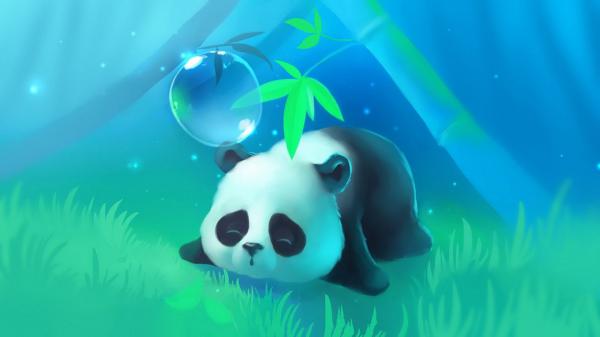 Free panda is lying down on grass hd panda wallpaper download