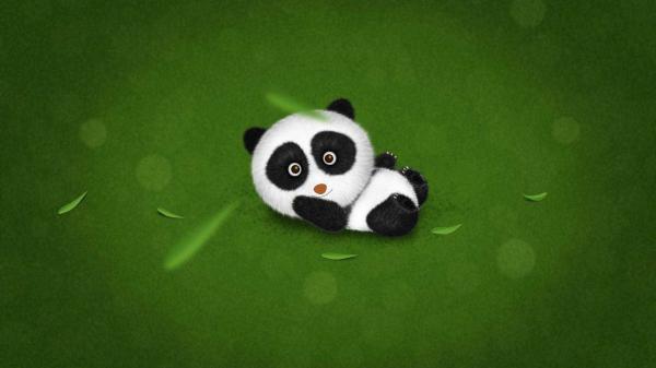 Free panda is lying down on green grass hd panda wallpaper download