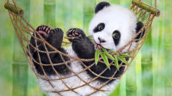 Free panda with leaves in mouth hd panda wallpaper download