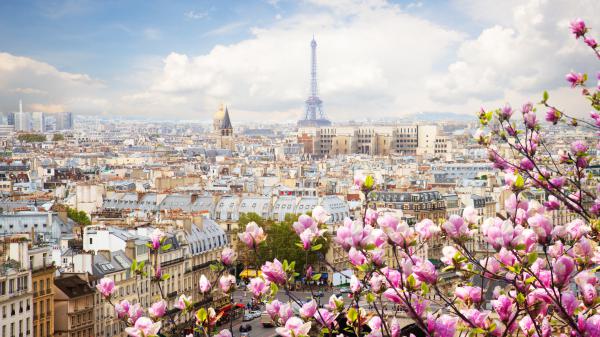 Free paris eiffel tower and cityscape with purple flowers in front with background of blue sky and clouds 4k hd travel wallpaper download