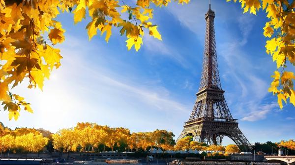 Free paris eiffel tower and trees with yellow leaves with blue sky and clouds background hd travel wallpaper download