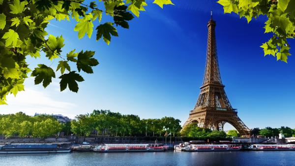 Free paris eiffel tower france with blue sky background hd travel wallpaper download