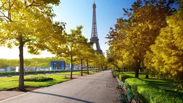 Free paris eiffel tower from the view of roadside with blue sky background 4k hd travel wallpaper download