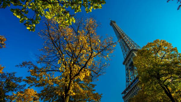 Free paris eiffel tower on side with blue sky and trees hd travel wallpaper download