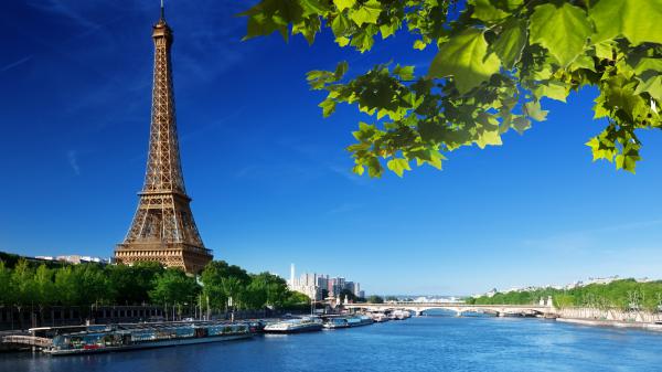 Free paris eiffel tower on side with blue sky background and green leaves hd travel wallpaper download