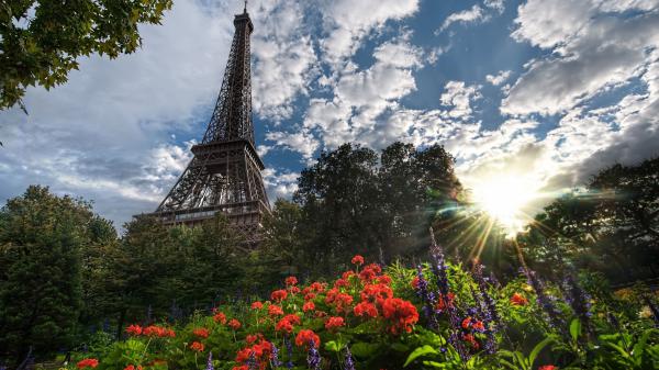 Free paris eiffel tower upward view with trees and flowers in front and sunbeam 4k hd travel wallpaper download