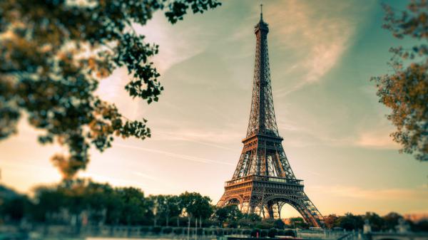 Free paris eiffel tower with shallow background of trees and sky hd travel wallpaper download