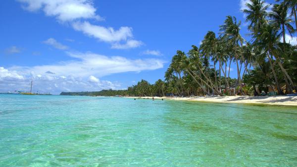 free peoples are swimming on beach hd beach wallpaper download