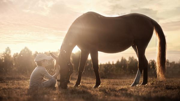 Free photography child horse 4k hd wallpaper download