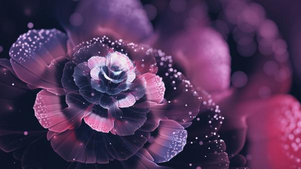 Free pink fractal flowers 4k hd abstract wallpaper download