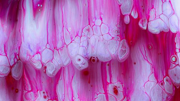 Free pink paint fluid art stains hd abstract wallpaper download