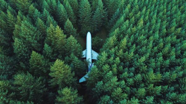 Free plane surrounded in forest 4k wallpaper download