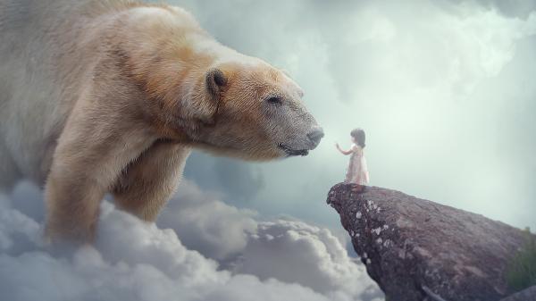 Free polar bear child dream wallpaper download