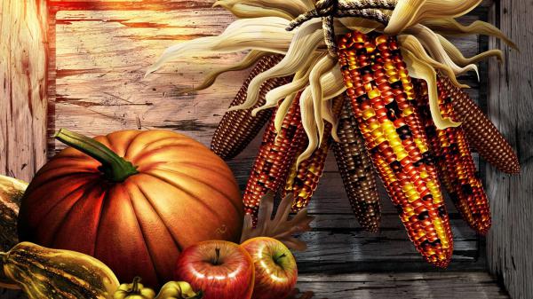 Free pumpkin apple with roasted corn hd thanksgiving wallpaper download